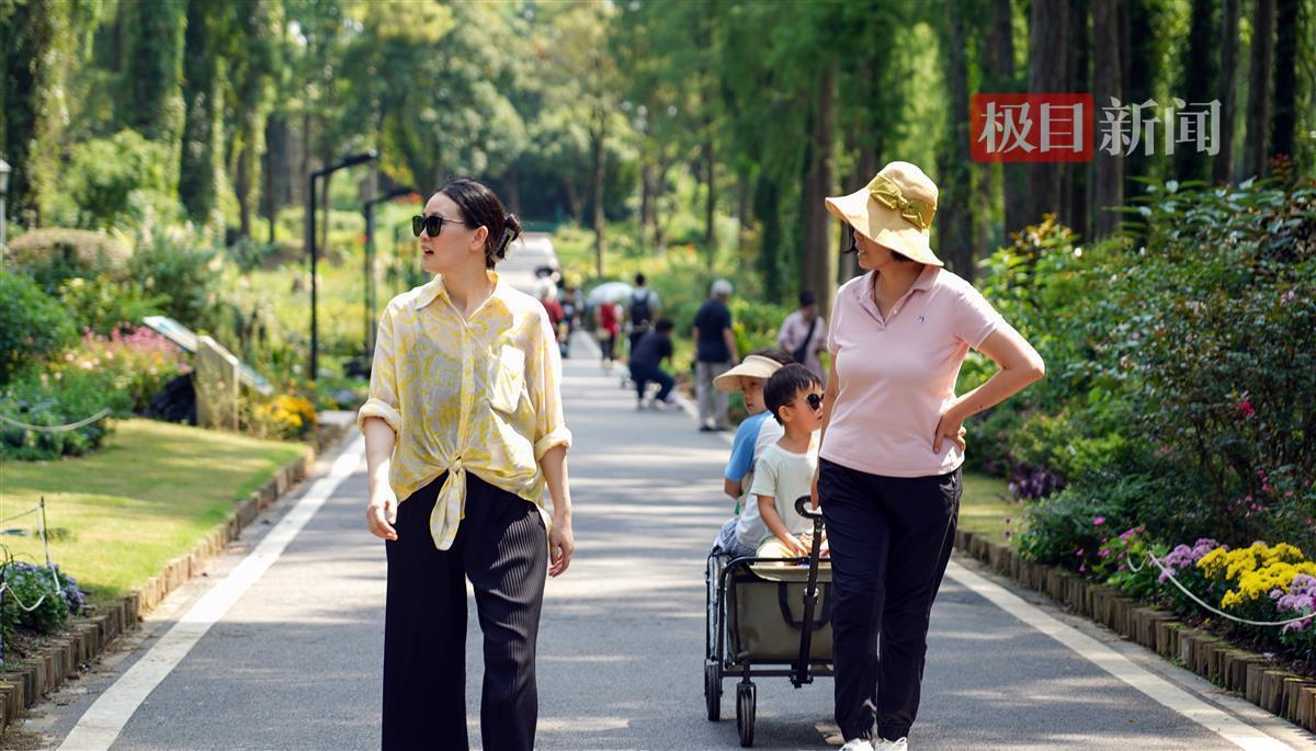 下载app送彩金手机号